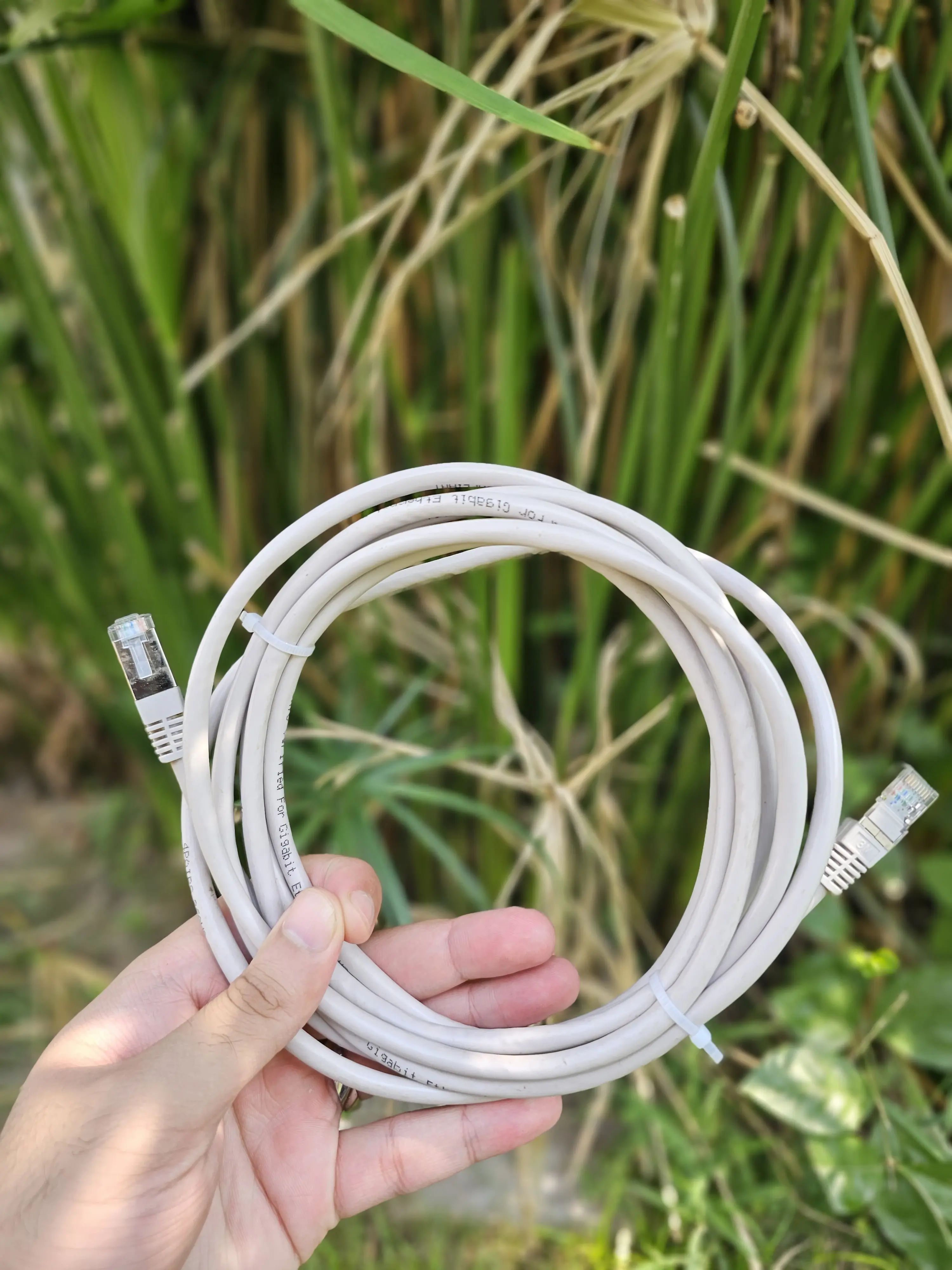 Ethernet Cable